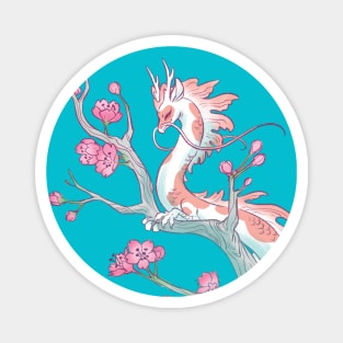 Koi Dragon Serene Sakura Magnet